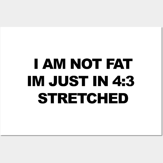 I am not fat, im just in 4:3 stretched Wall Art by Mrmera